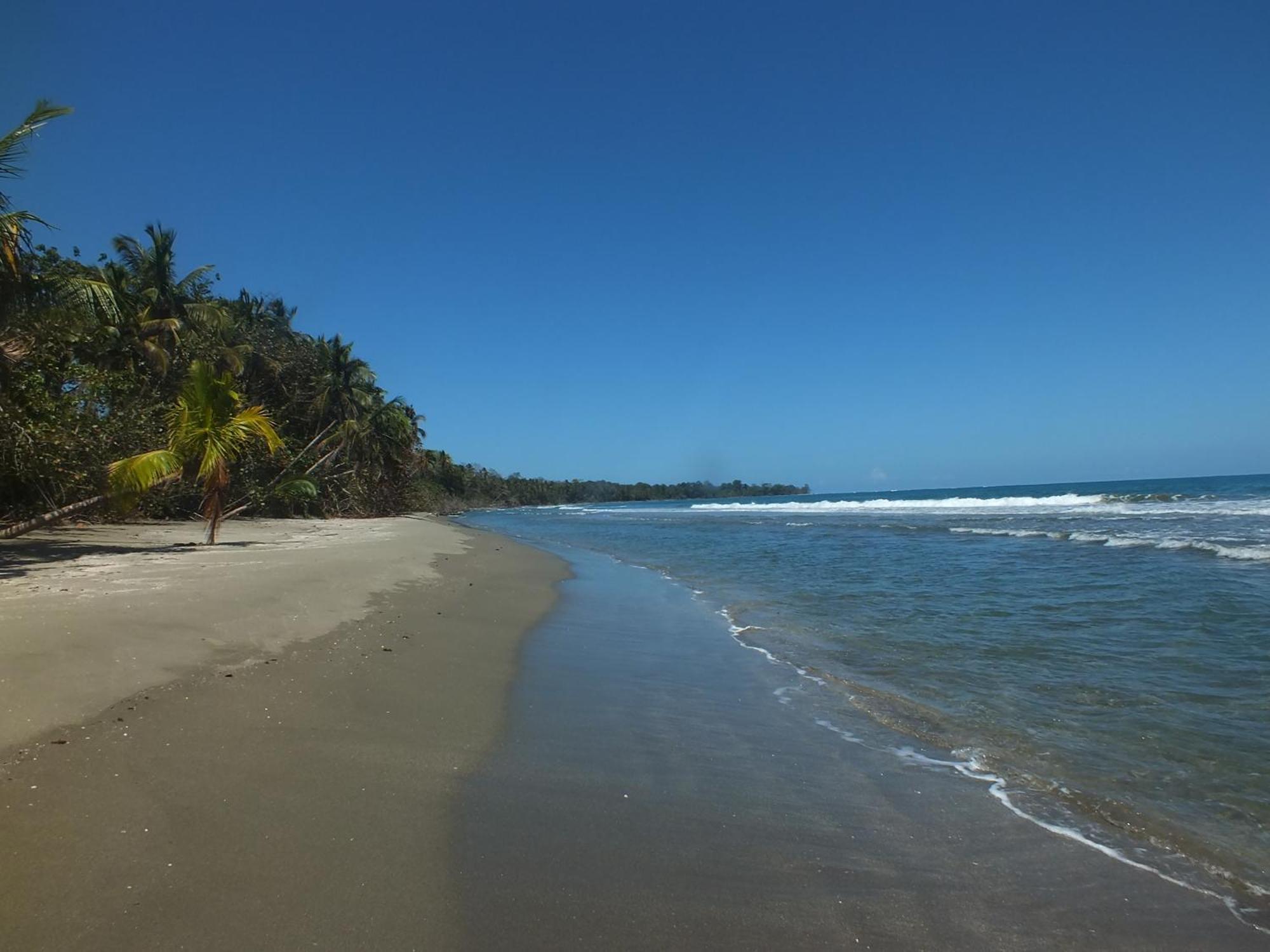 Cabinas Caribe Luna Cahuita Luaran gambar