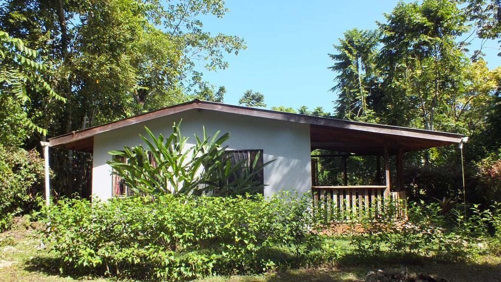 Cabinas Caribe Luna Cahuita Luaran gambar